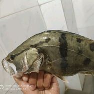 我叫长空呀抖音达人头像