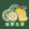 绿野高端进口水果抖音达人头像