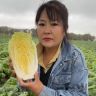 寿信农场抖音达人头像