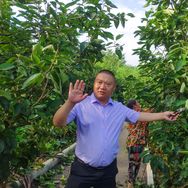 厚强果树苗木专营店抖音达人头像