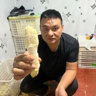 雄华农特产品店（老肖棕包）抖音达人头像