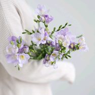 春山集CHUN抖音号头像