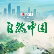 CCTV自然中国抖音达人头像