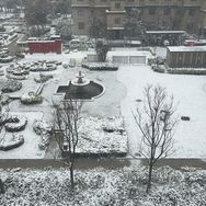 虞城金凤食品有限公司抖音号头像