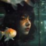 爱养生的玲玲抖音达人头像