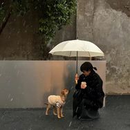 硕家优选抖音达人头像