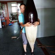 邹小清笔庄品牌官方账号抖音达人头像