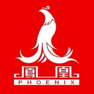 凤凰电动9号仓抖音达人头像