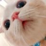 小阿森抖音达人头像
