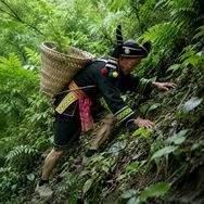 苑翠昌优选好物抖音达人头像