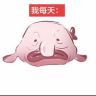 黑白-（六酱的小猫）抖音达人头像