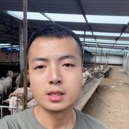 养羊人高鹏抖音达人头像