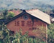 班章茶厂总厂抖音达人头像