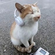 华夫饼抖音达人头像