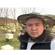 [ 四川合一蜂业：刘师傅 ] 繁蜂固体饲抖音达人头像