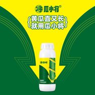 瓜小将工厂店抖音达人头像