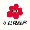 小红花视界抖音达人头像