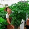 新华绿植抖音达人头像