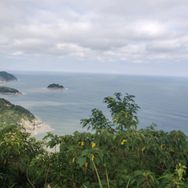 义乌序斐优选好物抖音号头像