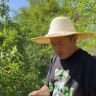 乡村老刘（回村记）抖音达人头像