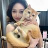 侯智圆ZYuan抖音达人头像