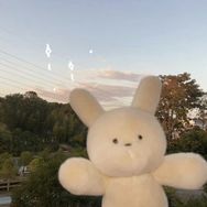 上上签42抖音达人头像