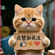 小橘懒猫抖音达人头像