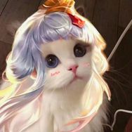 七彩猫（国服王昭君）抖音达人头像