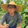 峰哥种菜记抖音达人头像