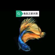 鱼友之家水族抖音达人头像