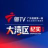 广东台大湾区纪实抖音达人头像