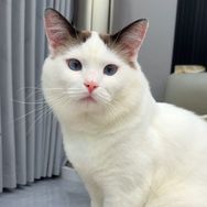 郑多多抖音达人头像