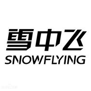 雪中飞女装时尚旗舰店抖音达人头像
