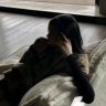 钰颜家🔆（9.12周年）抖音达人头像