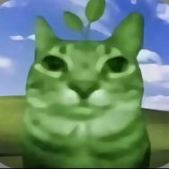 猫神抖音达人头像