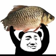 金牌鲫师抖音达人头像