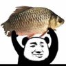 金牌鲫师抖音达人头像