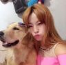 金毛艾迪粑🐶抖音达人头像