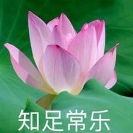 源B抖音达人头像