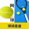 球球是道抖音达人头像