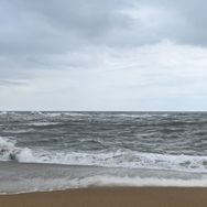 罗山县森林日用品经营部抖音号头像