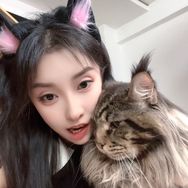 大美缅因猫抖音达人头像