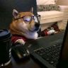 柴犬说抖音达人头像