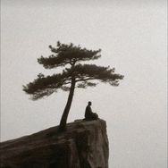 深圳东方智慧抖音达人头像