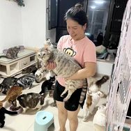 我是幸福的猫妈妈（413只猫）抖音达人头像