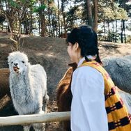 我是突突抖音达人头像