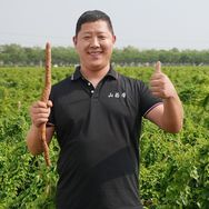 铁棍山药•帝抖音号头像