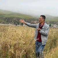 新农人潘大嘴抖音达人头像