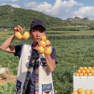 溪禾果园抖音达人头像