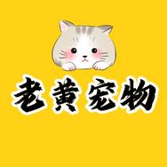 老黄宠物（全品类福利）抖音达人头像